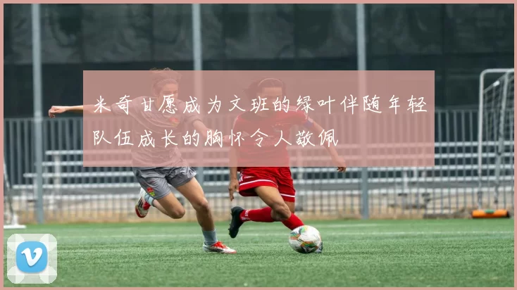 米奇甘愿成为文班的绿叶伴随年轻队伍成长的胸怀令人敬佩