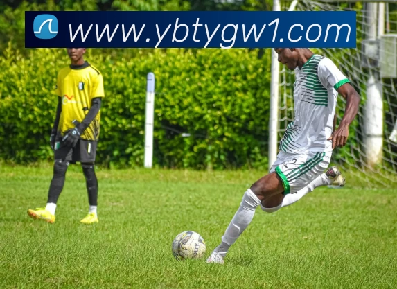 数据分析功能